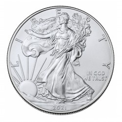 1 Oz American Eagle New Motive Silver Coins