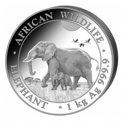 1 Kilo Somalian Elephant 2022 Silver Coin