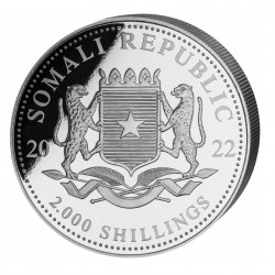 1 Kilo Somalian Elephant 2022 Silver Coin