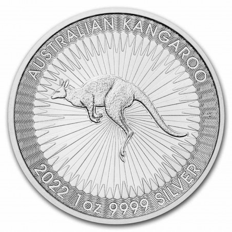 25 x 1 Oz Kangaroo 2022 Silver Tube