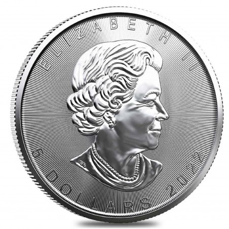 PRE-SALE 2022 Tube of 25 X 1 Oz Maple Leaf Silver Coin 16/12