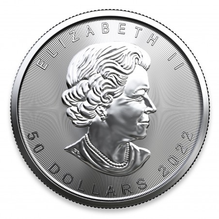 1 Oz Maple Leaf 2022 Platinum Coin