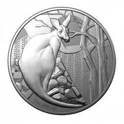 1 Oz Kangaroo In Nature 2022 Silver Coin