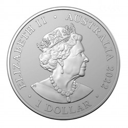 1 Oz Kangaroo In Nature 2022 Silver Coin