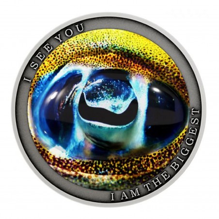 1/2  Oz Large Reef Squid Eye 2022 Silver Coin