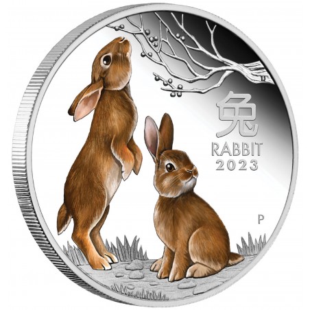 1oz Year Of The Rabbit Colored  2023 Silver Coin
