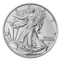 1 Oz American Eagle New Motive Silver Coin 2023