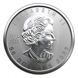1 Oz Maple Leaf 2023 Platin Coin