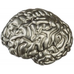 2 Oz Brain 3D Shaped Silver Coin