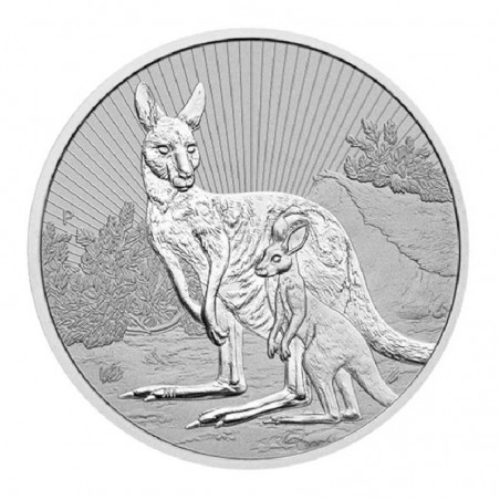 2 Oz The Next Generation Mother And Baby - Kangaroo Silver Coin