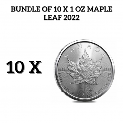 Bündel von 10 x 1 Oz Maple Leaf Silbermünze 2022