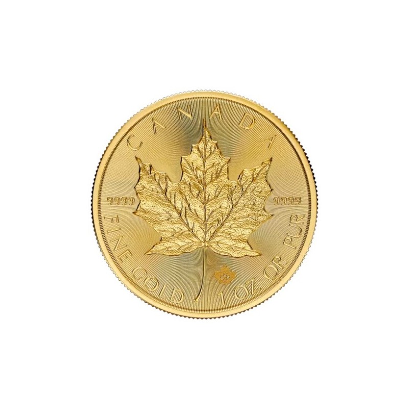 1 oz Maple Leaf Gold Coin 2024