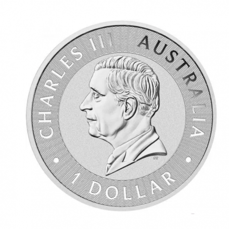 1 Oz Kangaroo 2024 Silver Coin