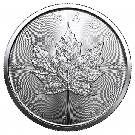 1 Oz Maple Leaf Silver Coin 2024
