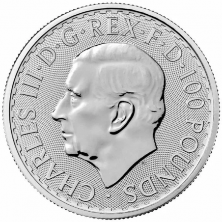 1 Oz Britannia 2024 Platinum Coin