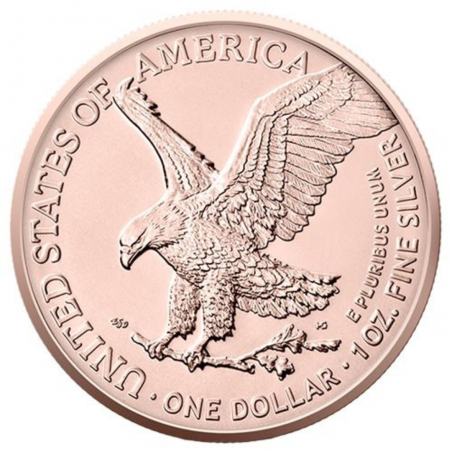 1 Oz Summer American Eagle Silver Coin