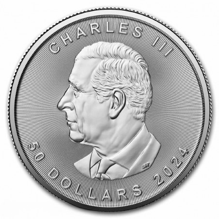 1 Oz Maple Leaf 2024 Platinum Coin
